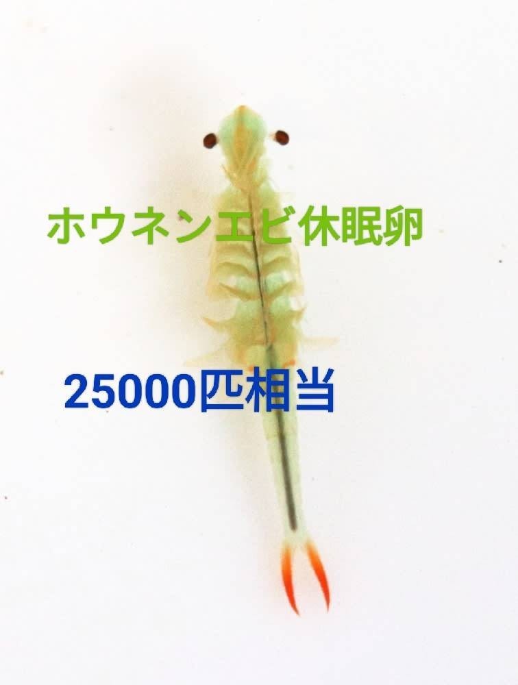  free shipping! common carp . fish medaka . meal! height nutrition cost howe nen shrimp .. dry egg approximately 25000 pcs corresponding manual attaching Guppy goldfish tropical fish me Dakar needle . bait 