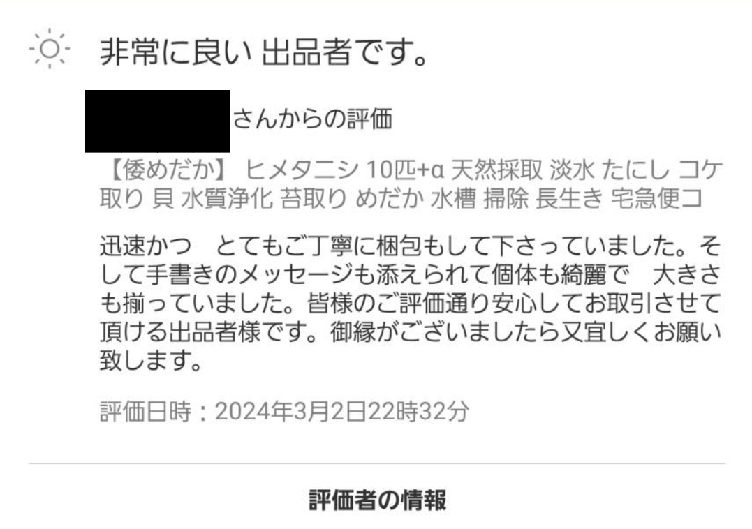 【倭めだか】 ヒメタニシ 20匹+α 天然採取 淡水 たにし コケ取り 貝 水質浄化 苔取り めだか 水槽 掃除 長生きの画像4