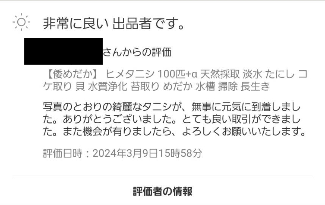 【倭めだか】 ヒメタニシ 100匹+α 天然採取 淡水 たにし コケ取り 貝 水質浄化 苔取り めだか 水槽 掃除 長生きの画像5