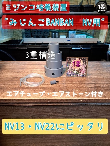 【倭めだか】 “みじんこBANBAN NV用” タイリクミジンコ タマミジンコ オオミジンコ 培養 装置 エアリフト式 NV13 NV22 メダカ 稚魚 生餌の画像1