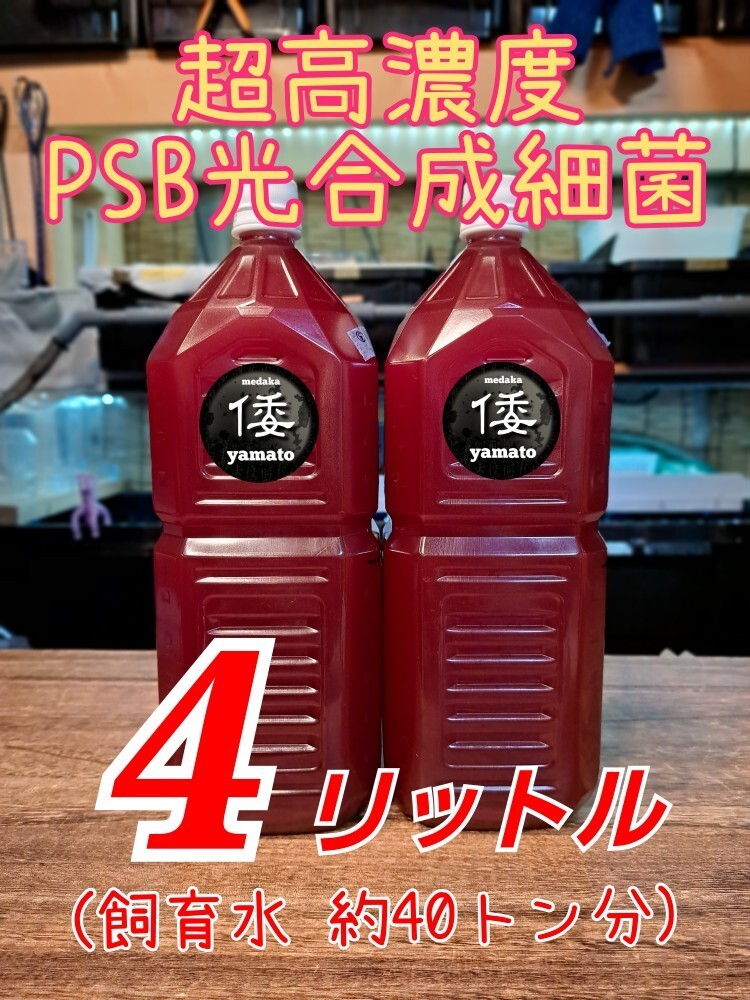 【倭めだか】 ４リットル 超高濃度 PSB 光合成細菌 ４L メダカ金魚ベタゾウリムシ タマミジンコ オオミジンコ タイリクミジンコ 等のエサに_画像1