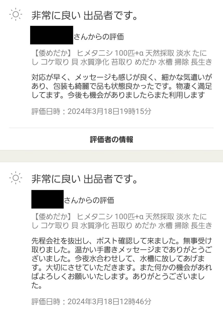 【倭めだか】 ヒメタニシ 15匹+α 天然採取 淡水 たにし コケ取り 貝 水質浄化 苔取り めだか 水槽 掃除 長生き_画像3