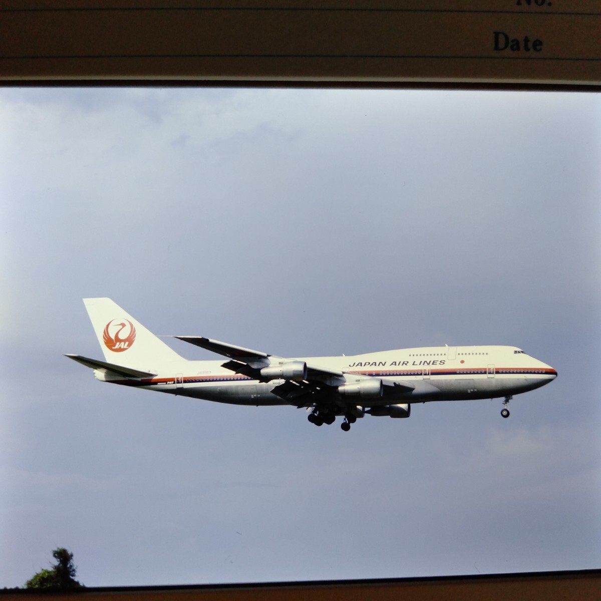 ne041 самолет пассажирский лайнер JALbo- крыло 747nega камера любитель . магазин товар поставка со склада коллекция 6 листов совместно 