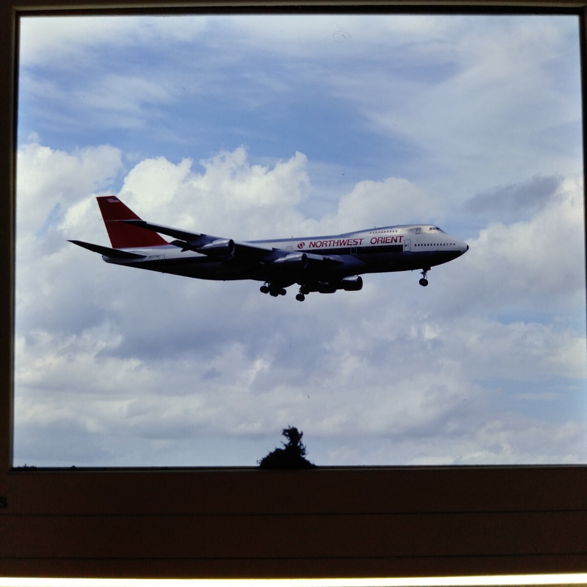 ne056 aircraft Northwest Airlines bo- wing 747nega camera mania . warehouse goods delivery collection 6 sheets together 