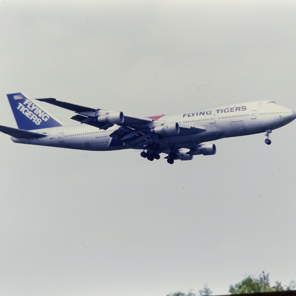 ne057 aircraft passenger plane CP air flying * Tiger * line bo- wing 747nega camera mania . warehouse goods delivery collection 6 sheets together 