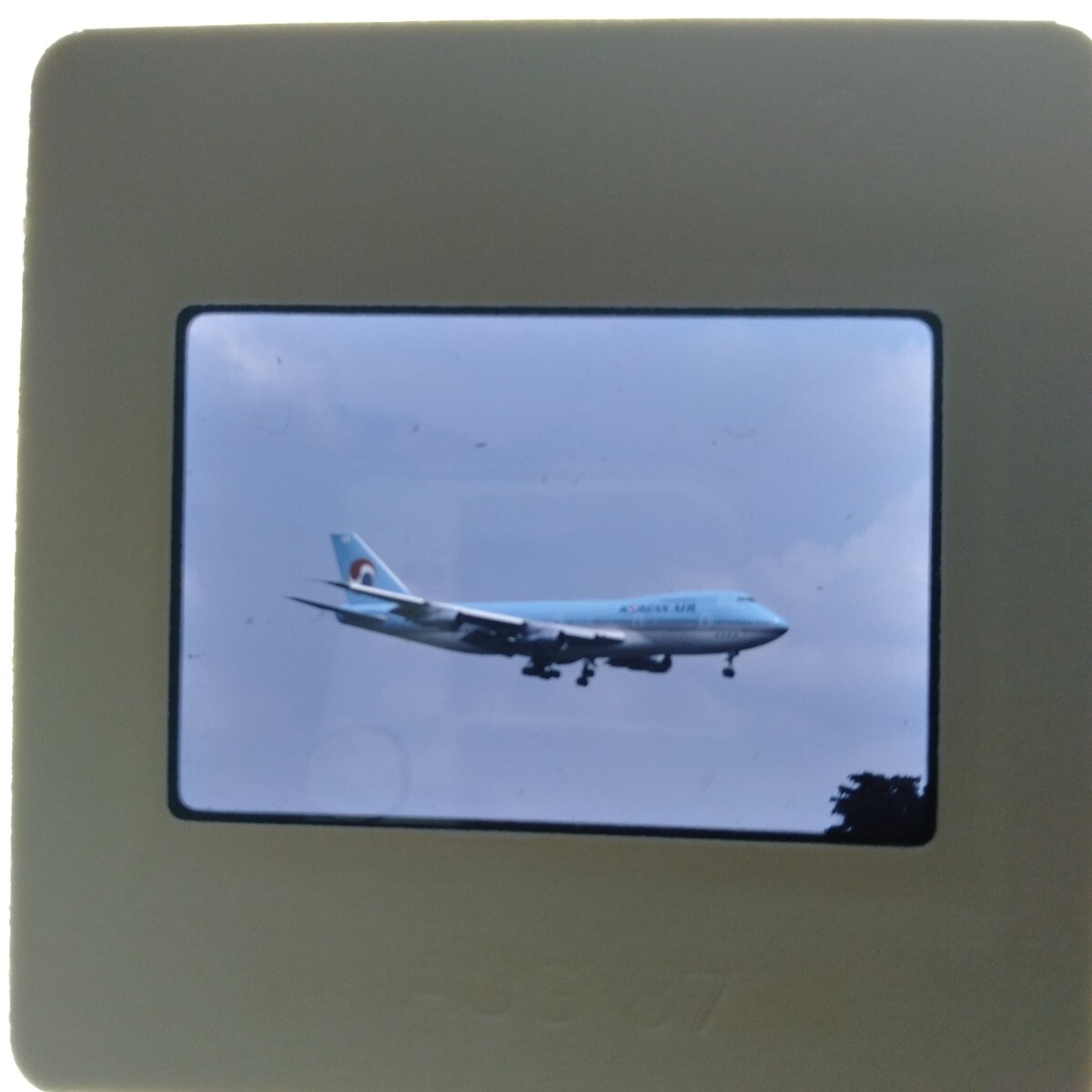 ノ088 航空機 飛行機 旅客機 NCA PIA 大韓航空 ネガ カメラマニア秘蔵品 蔵出し コレクション 15枚まとめて_画像5