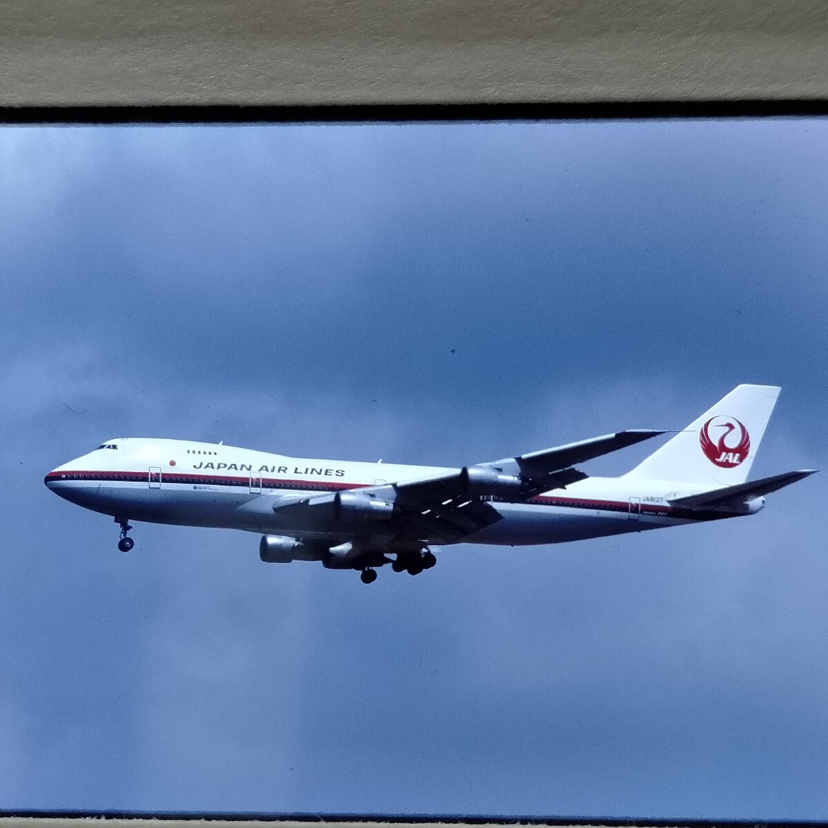 no151 aircraft airplane passenger plane JAL NCA Northwest Airlines nega camera mania . warehouse goods delivery collection 15 sheets together 