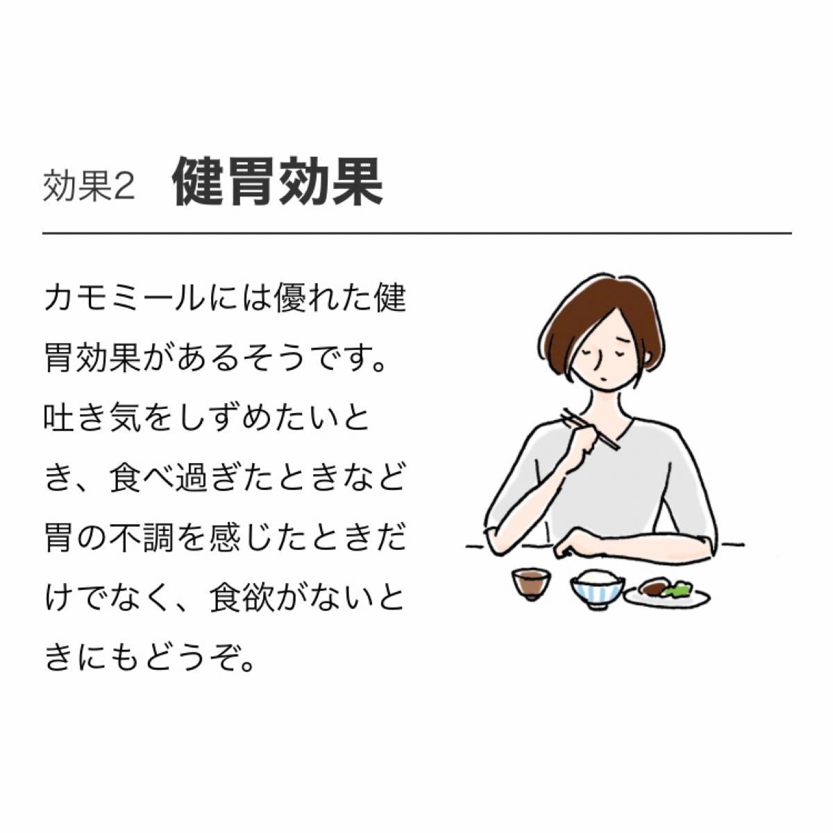 ムーンガーデン　30袋入り×3点セット　生活の木おいしいハーブティー