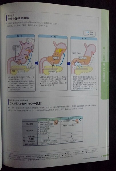 [13745]病気がみえる vol.1 消化器 第4版 平成23年10月10日 メディックメディア 内臓 医療 内視鏡 癌 胃潰瘍 肝硬変 胆石症 腸閉塞 検査_画像3