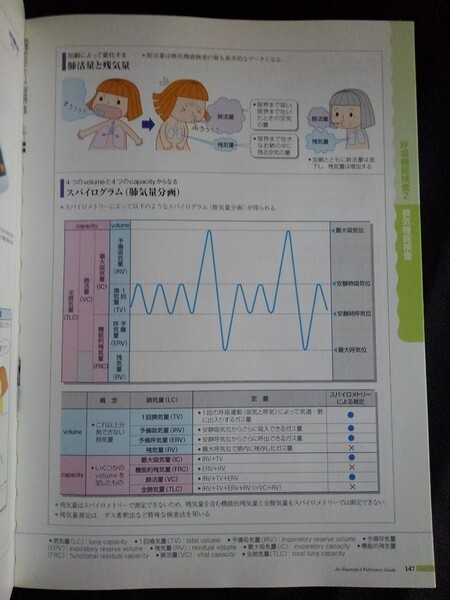 [13783]病気がみえる vol.4 呼吸器 平成23年7月27日 メディックメディア 解剖 生理 肺炎 感染症 検査 免疫 アレルギー 疾患 異常 腫瘍 診察_画像3