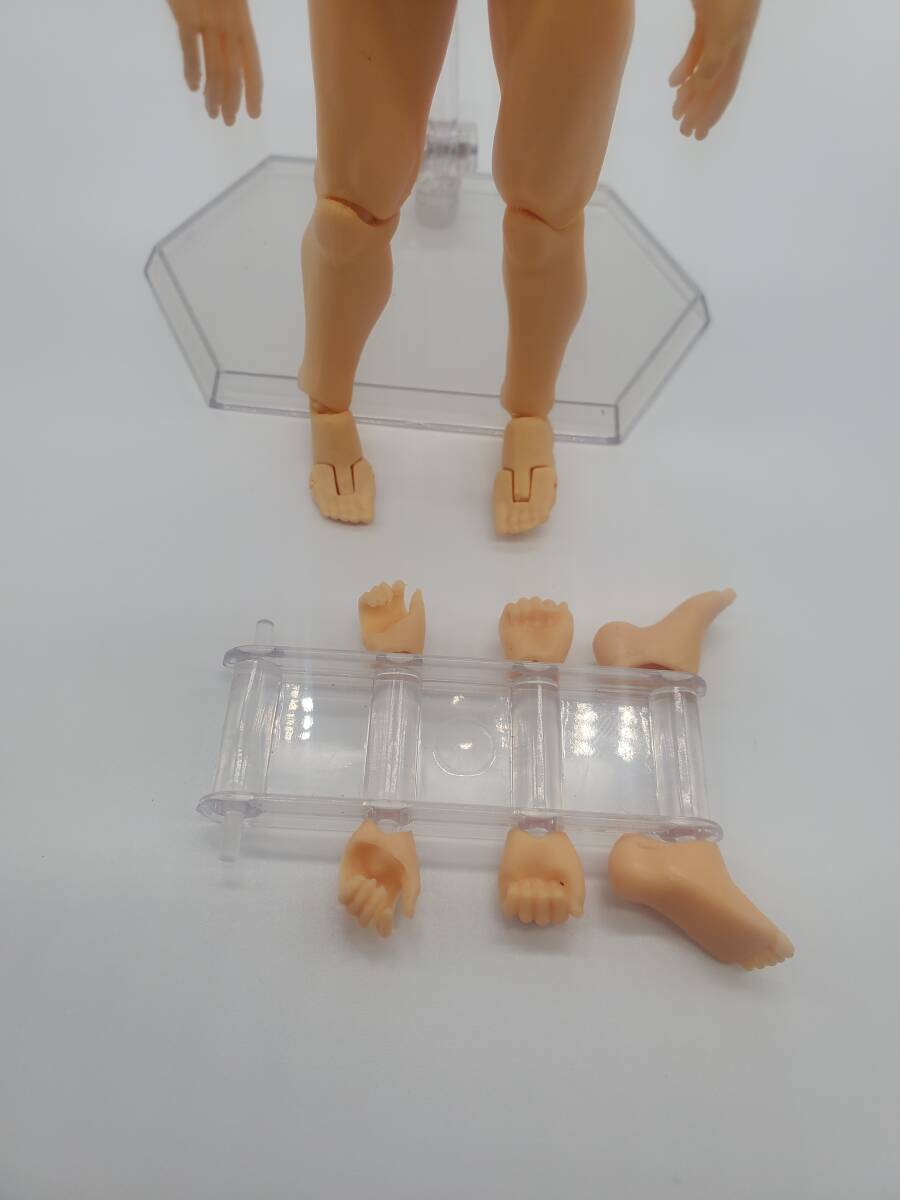 マックスファクトリー figma archetype next she flesh color ver. 男性 ノンスケール ABS&PVC製 塗装済み可動フィギュアの画像2