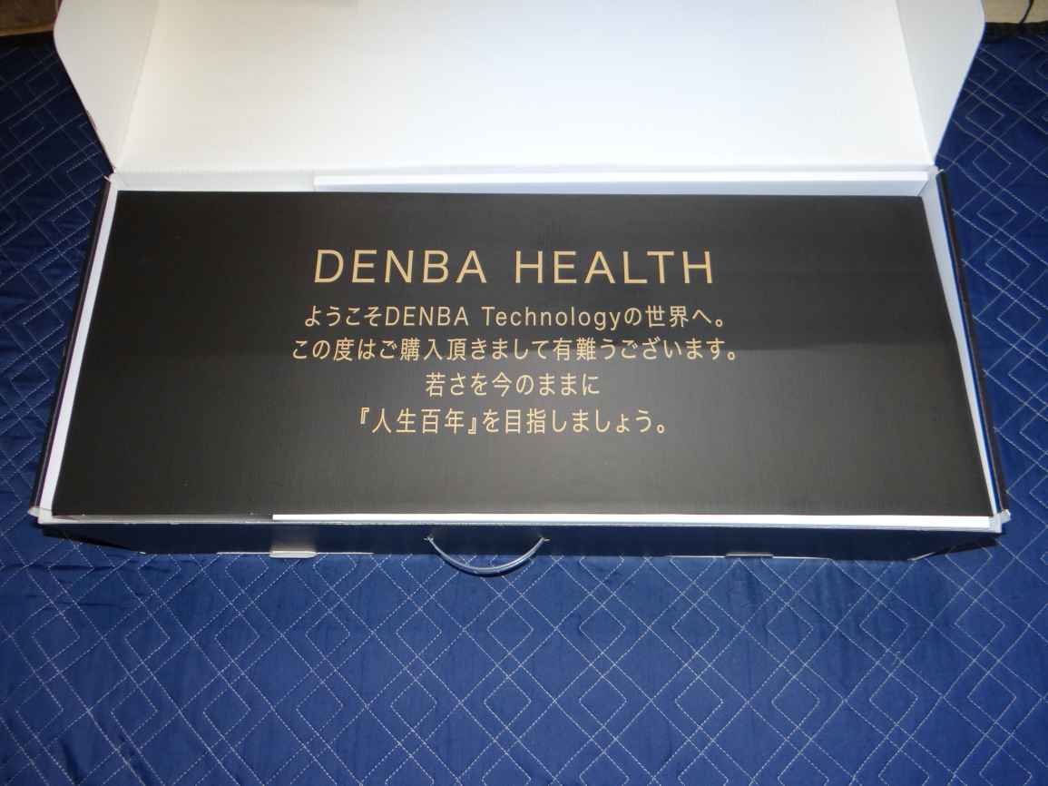 DENBA Health デンバヘルス スタンダード 空間電位発生システムの画像2