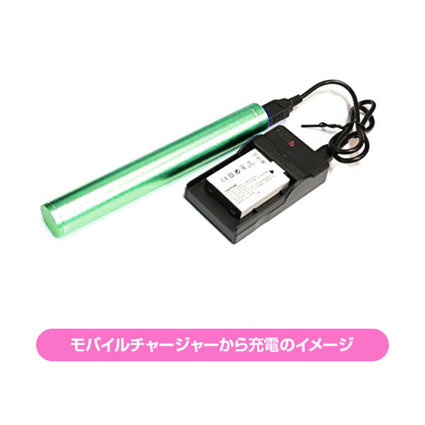 セットDC04 対応USB充電器 と Sony NP-FP90 互換バッテリー_画像3