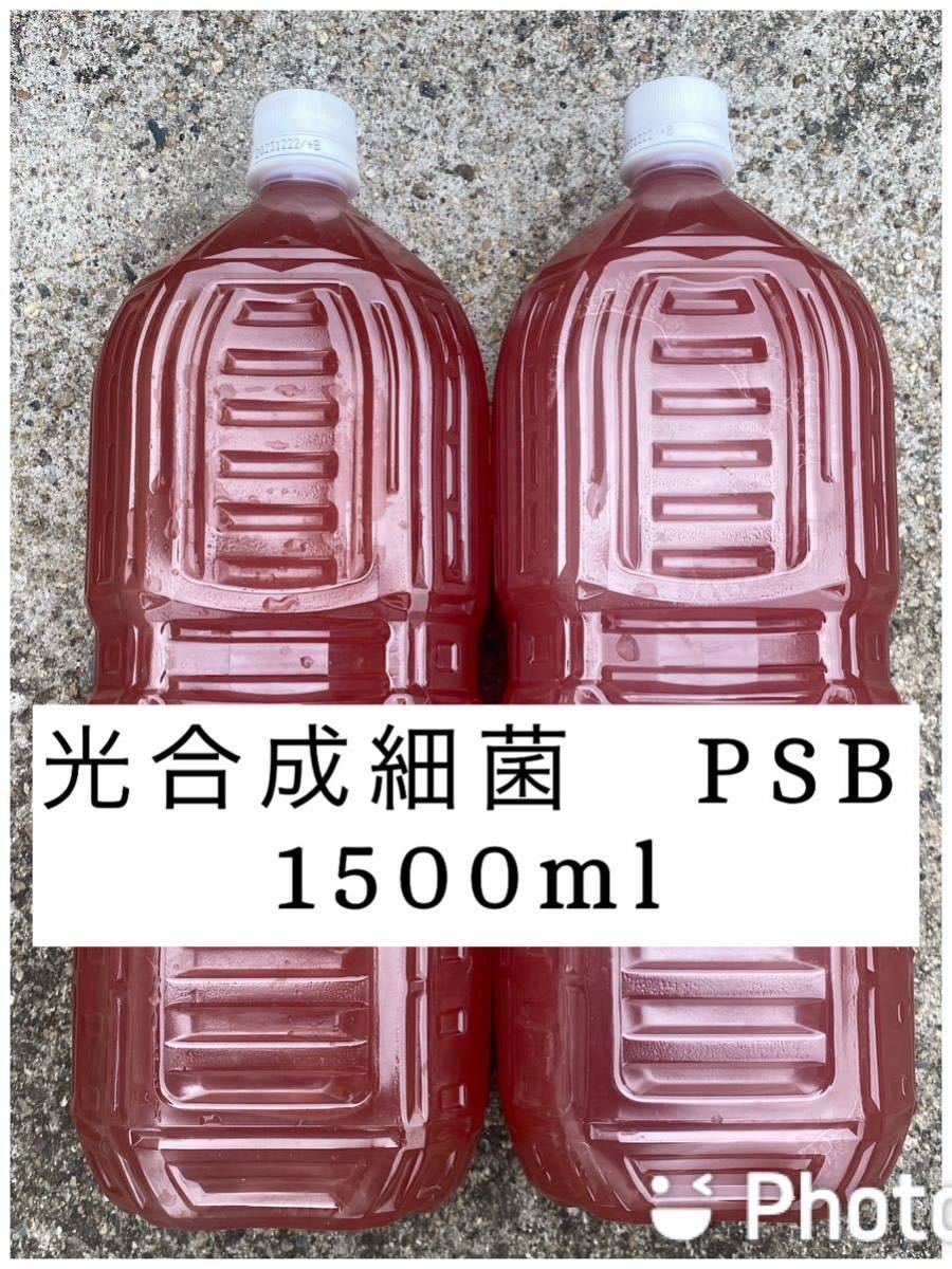 値下げ PSB 光合成細菌 1500ml 自家培養の画像1