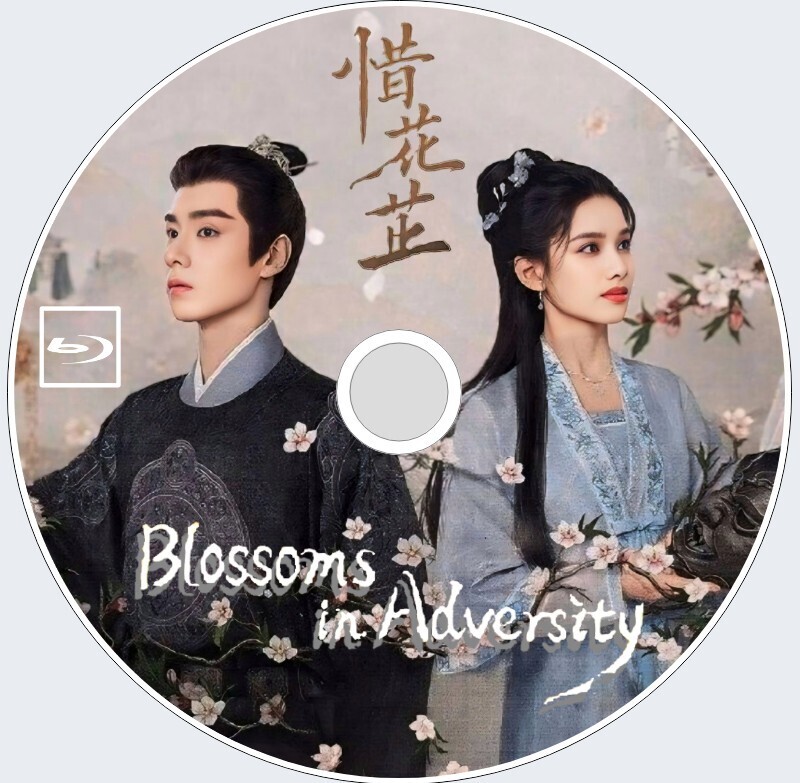 Blossoms in Adversity（自動翻訳）惜花『oko』中国ドラマ『みりん』フー・イーティエン、チャン・ジンイー　Blu-ray　5/16以降発送予定_画像1