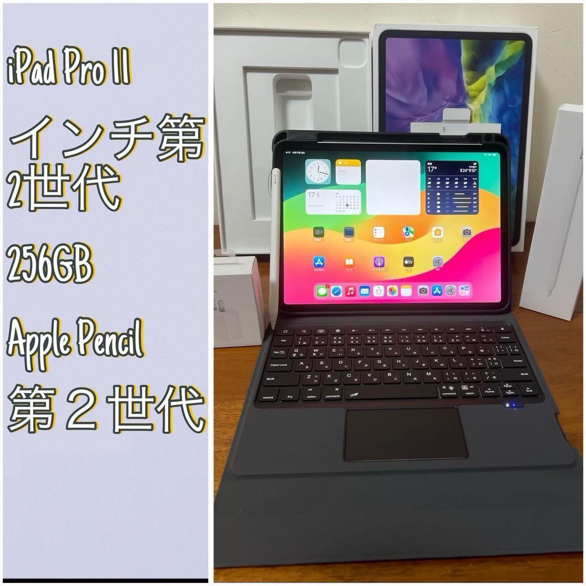 この日だけ】 【美品 】 iPad Pro 11インチ第2世代 256GB Apple この日だけ】 【美品 】 iPad Pro 11インチ第2世代 256GB Apple