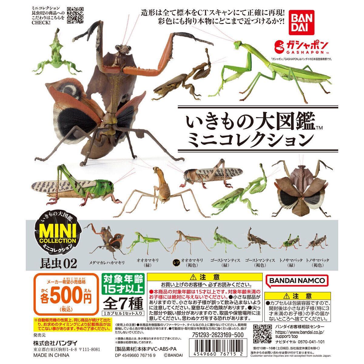 いきもの大図鑑ミニコレクション 昆虫02 トノサマバッタ（褐色）の画像2