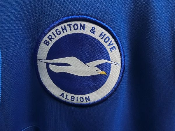 NIKE x Brighton & Hove Albion FC DRI-FIT STRKE21 フード ジャケット L ブルー #CW5865-463 ブライトンホーブアルビオンFC ナイキ_画像3