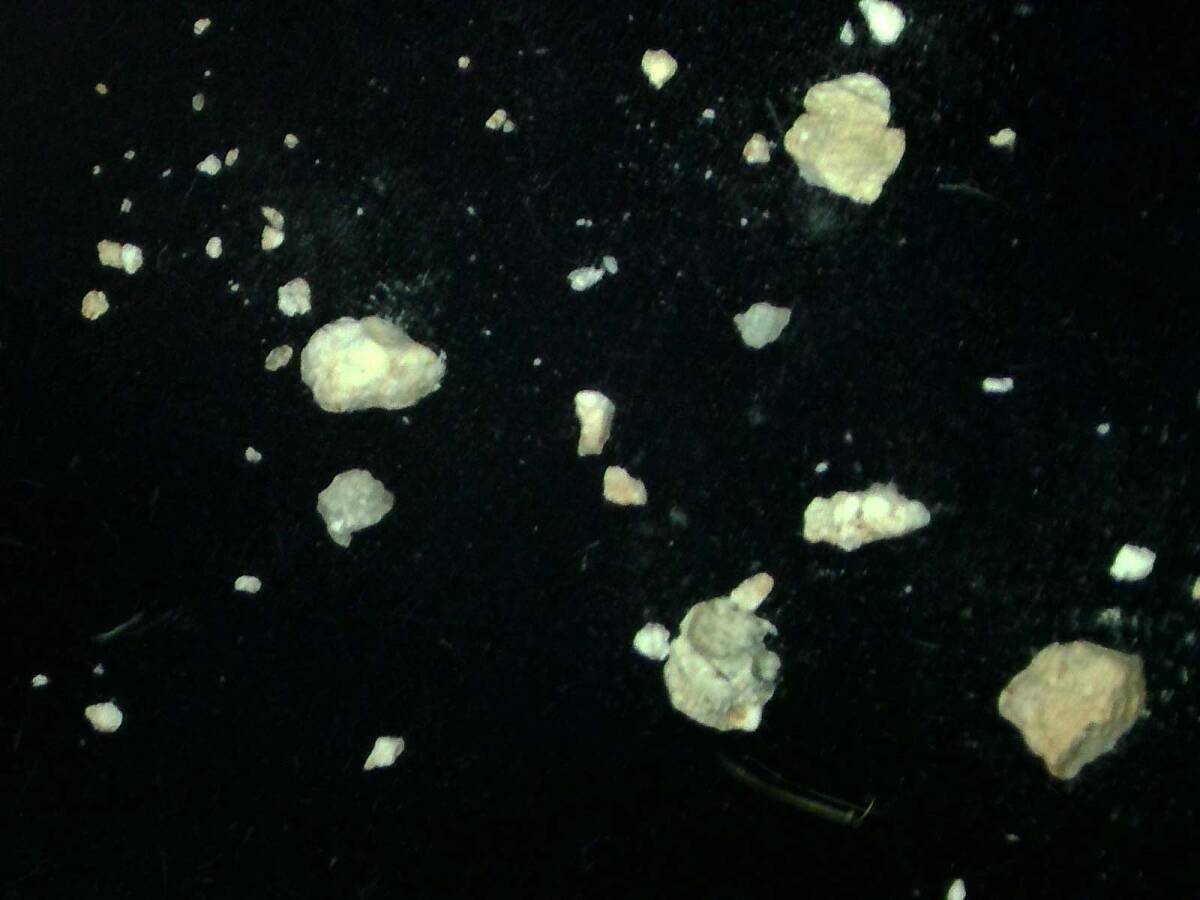 国産鉱物 和束町のアンソイナイト、エンポロロ石、水ケノエルスモライト（日本新産鉱物）の画像1