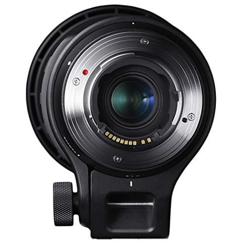 シグマ(Sigma) SIGMA シグマ Canon EF マウント レンズ 150-600mm F5-6.3 DG OS HSM ズーム 超望遠_画像9