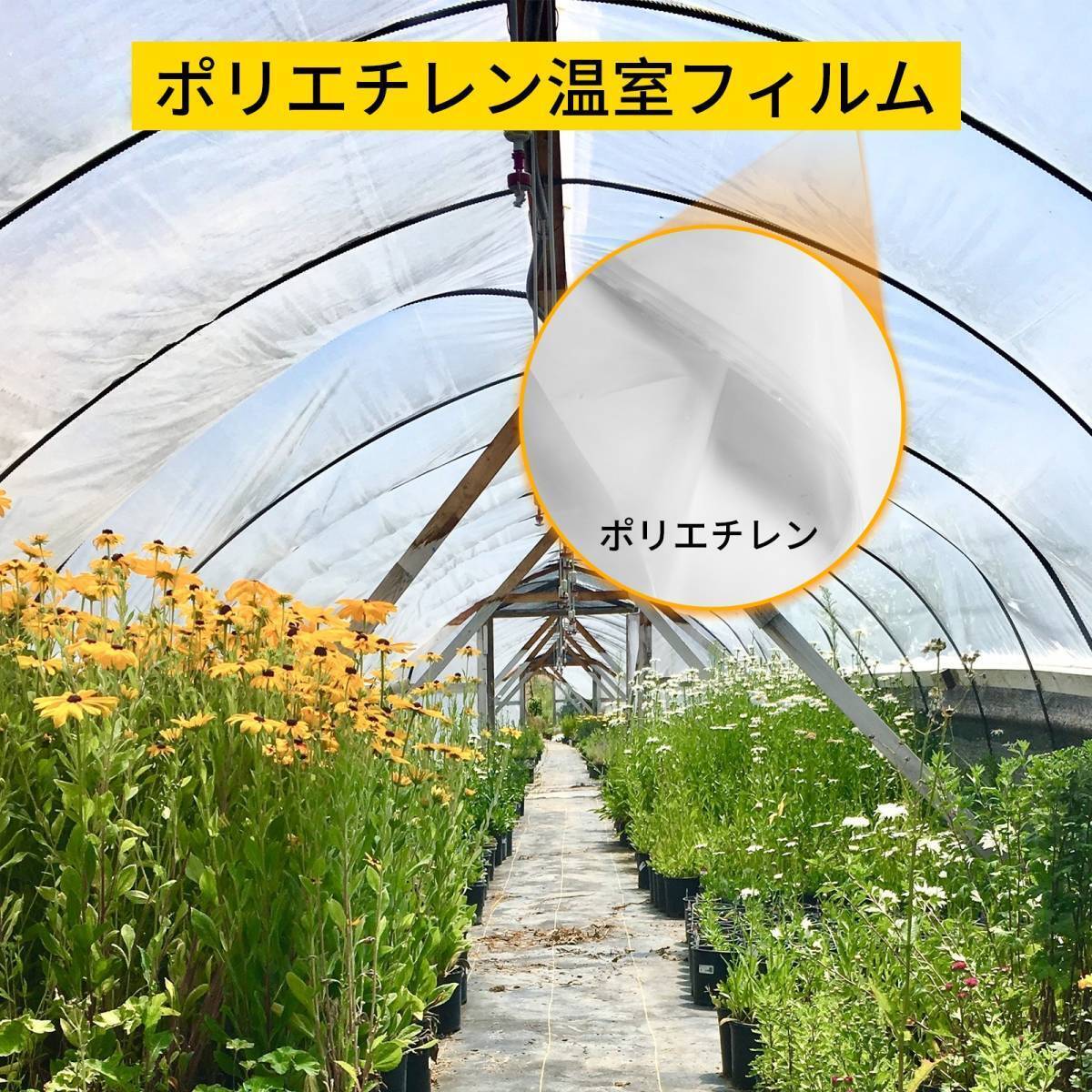 ＃8398AD【9.7*7.6m】ビニールハウス ビニールシート 透明 0.15mm 温室替えカバー 植物栽培 園芸用菜園ビニールハウス 花園温室 農業_画像5