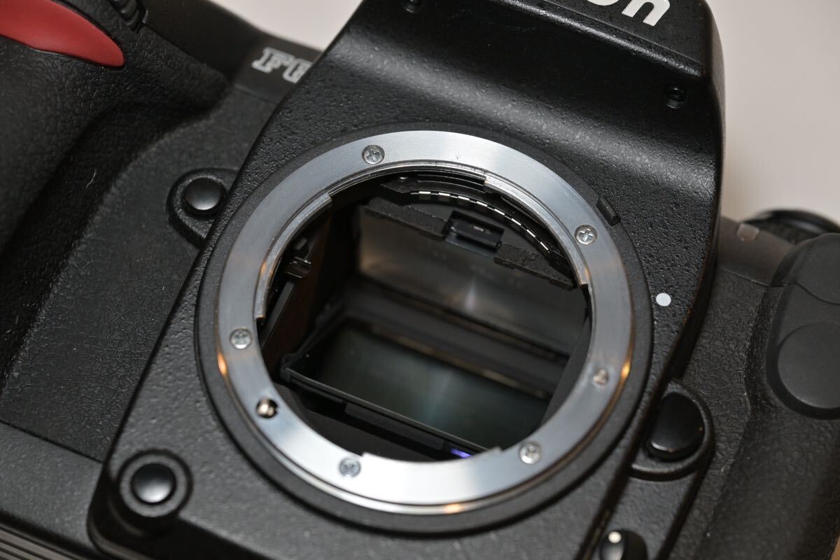 Nikon ボディ F6 動作確認済 方眼マットスクリーン装着済 新品プロストラップつきの画像10
