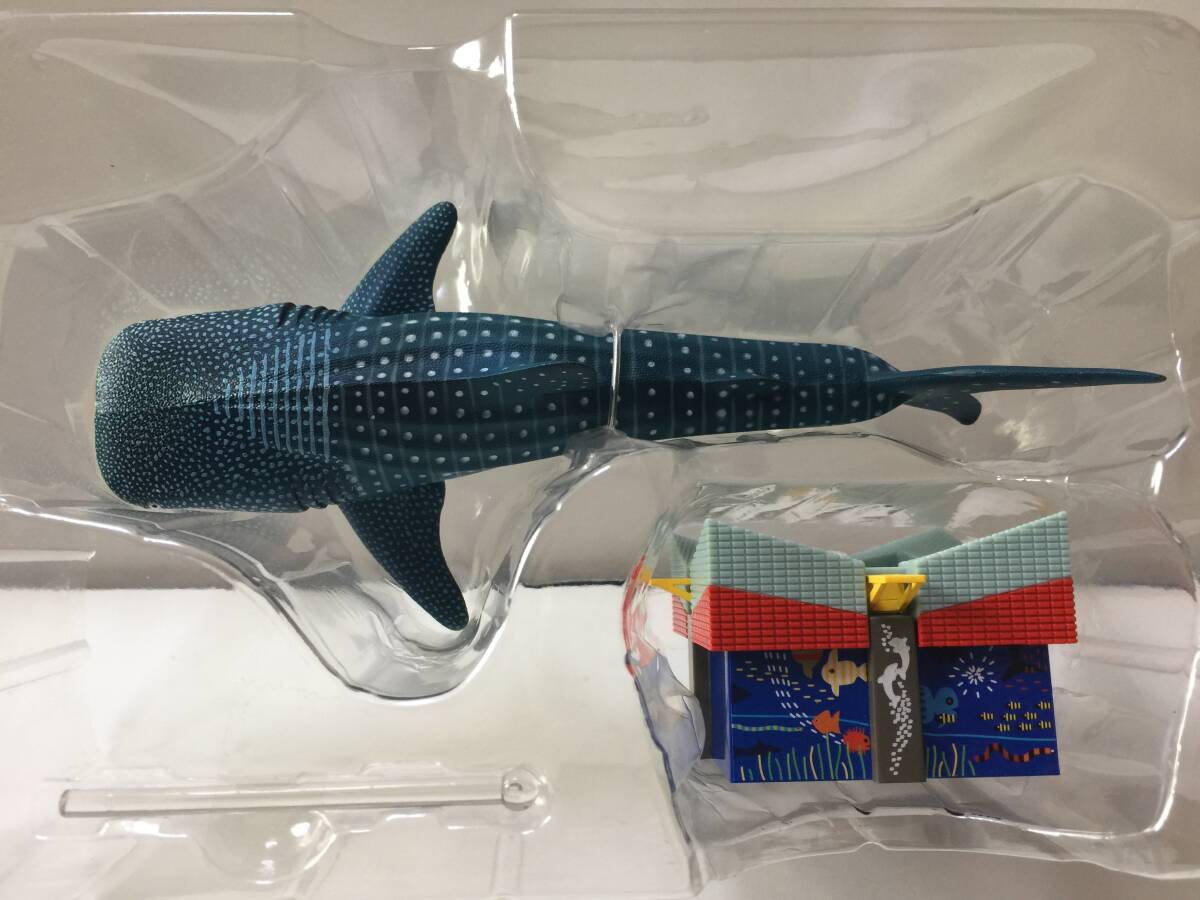 激安店舗 海遊館 オリジナル ミュージアムモデル ジンベイザメ フィギュア 生き物