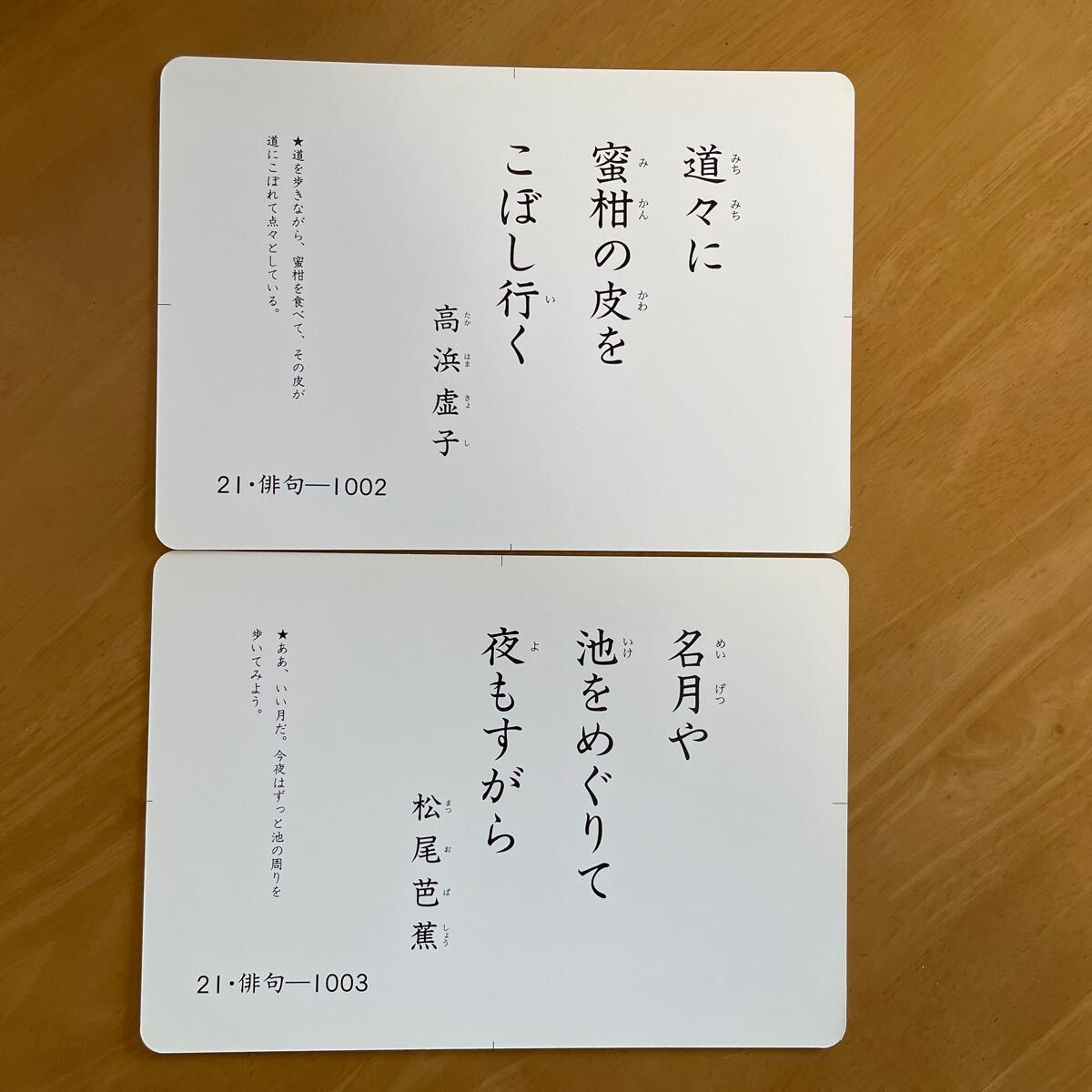 家庭保育園第2教室「楽しい絵カード1500-4ヶ国語版」の画像8