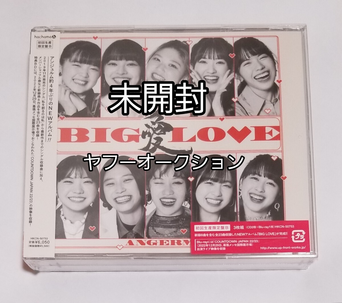 【幕張メッセ ライブ収録】 【未開封】 アンジュルム CD+ブルーレイ アルバム BIG LOVE 初回生産限定盤B ハロプロの画像1