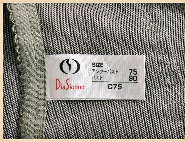 CA6-615＃//新品未使用♪DiaSienne/ダイアジェンヌ♪日本製♪たっぷりボーン入りで盛れてくびれる補正力♪ビスチェ/補正ロングブラ※●の画像4