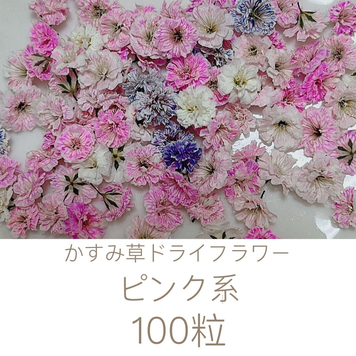 ピンク系 かすみ草ドライフラワー100粒