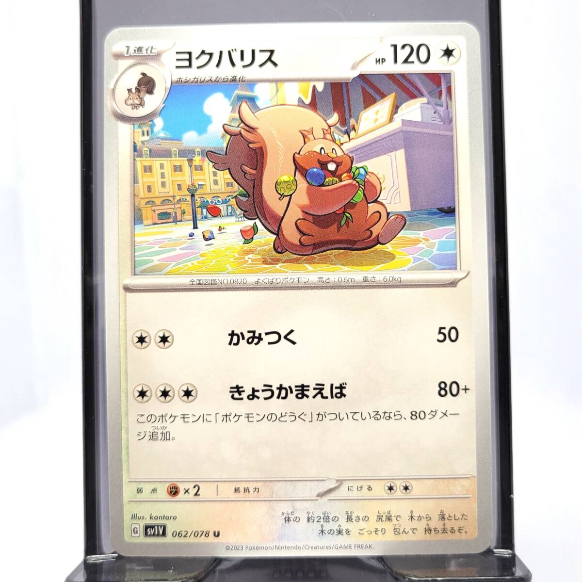 ＠ポケモンカード　ヨクバリス　HP120_画像1