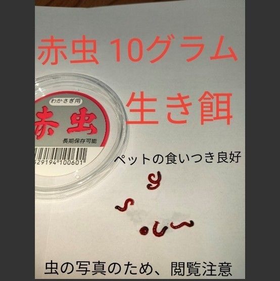 赤虫 10グラム 生きエサ 餌 釣りエサ ペット 