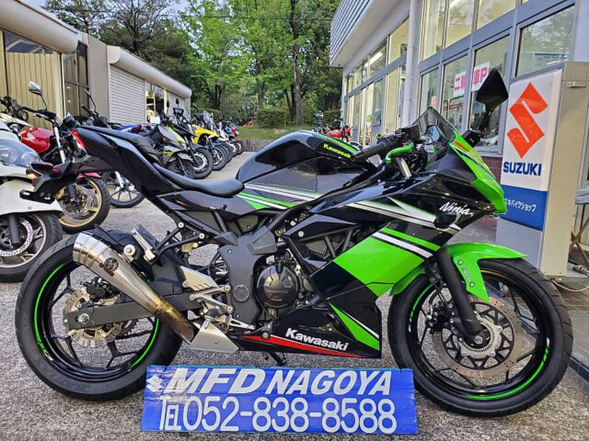 MFD名古屋　Ｎｉｎｊａ ２５０ＳＬ　ABS後期モデル！SP忠男スリップオンなどカスタム！シングルスポーツ！_画像1