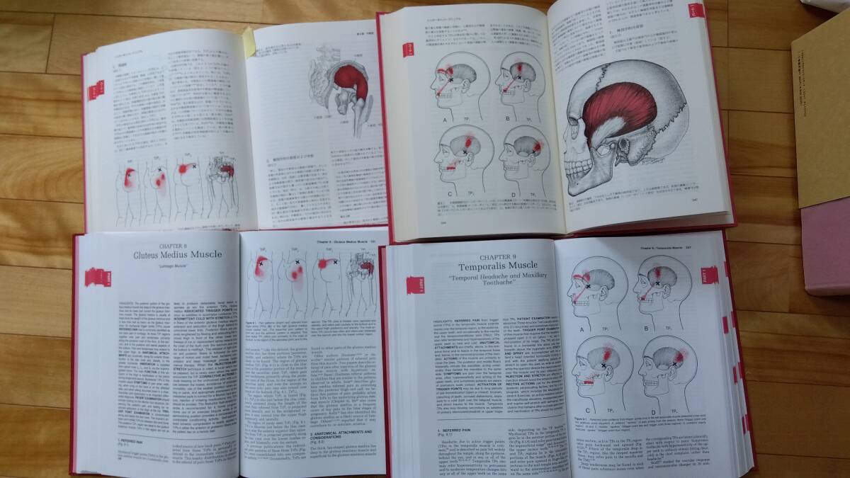 . paper Myofascial Pain and Dysfunction The Trigger Point Manual J.Travell translation publication trigger Point manual river . group large . translation relation VHS tape 