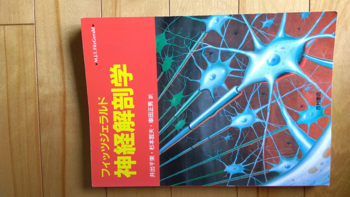 神経局座診断その解剖生理臨床 2神経解剖学フィッツジェラルド 3臨床神経学の基礎メイヨー医科大学教材 4めまいと平衡調節 内野善夫著 - 医学一般 神経局座診断その解剖生理臨床 2神経解剖学フィッツジェラルド 3臨床神経学の基礎メイヨー医科大学教材 4めまいと平衡調節 内野善夫著 - 医学一般
