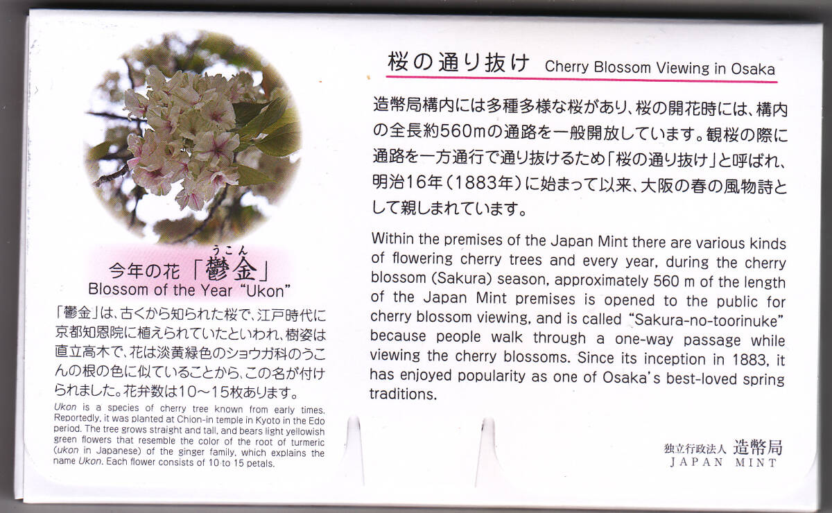 平成２９年 桜の通り抜け貨幣セット ２０１７年 ミントセットの画像2