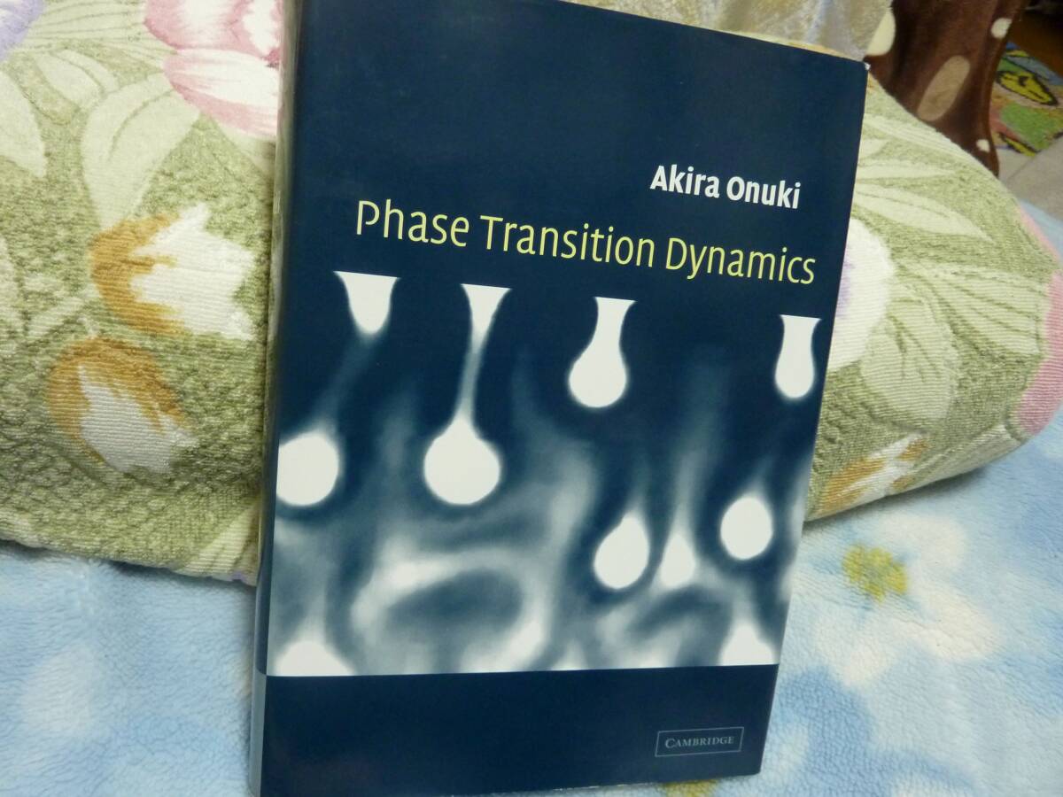 （洋書）Phase Transition Dynamicsの画像1