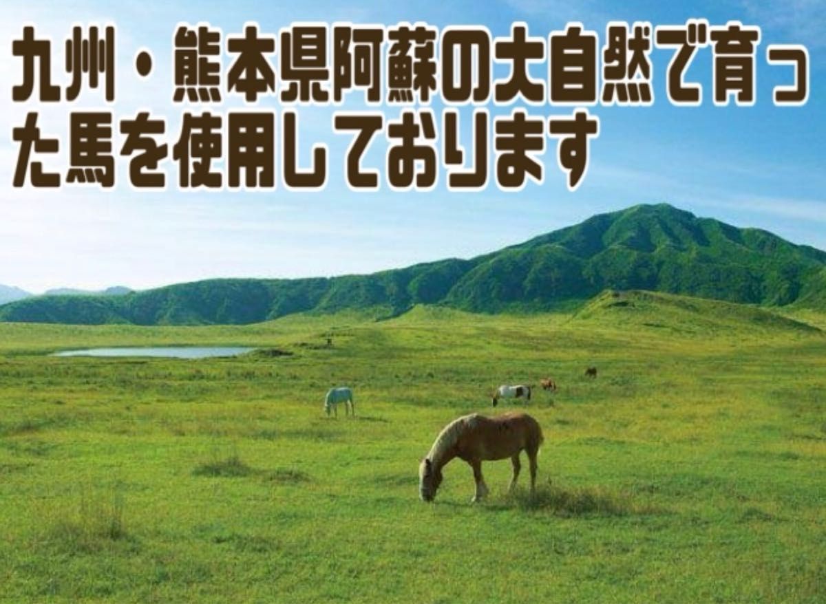 国産　熊本県産馬使用　馬アキレス　犬のおやつ　【10〜15cmほどでカットしております】