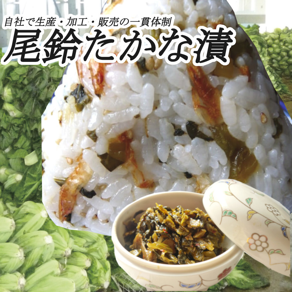  尾鈴高菜漬 200g×20袋 宮崎県 古漬け たかな漬け ご飯のお供 チャーハン おにぎり 油炒め トッピング送料無料_画像2