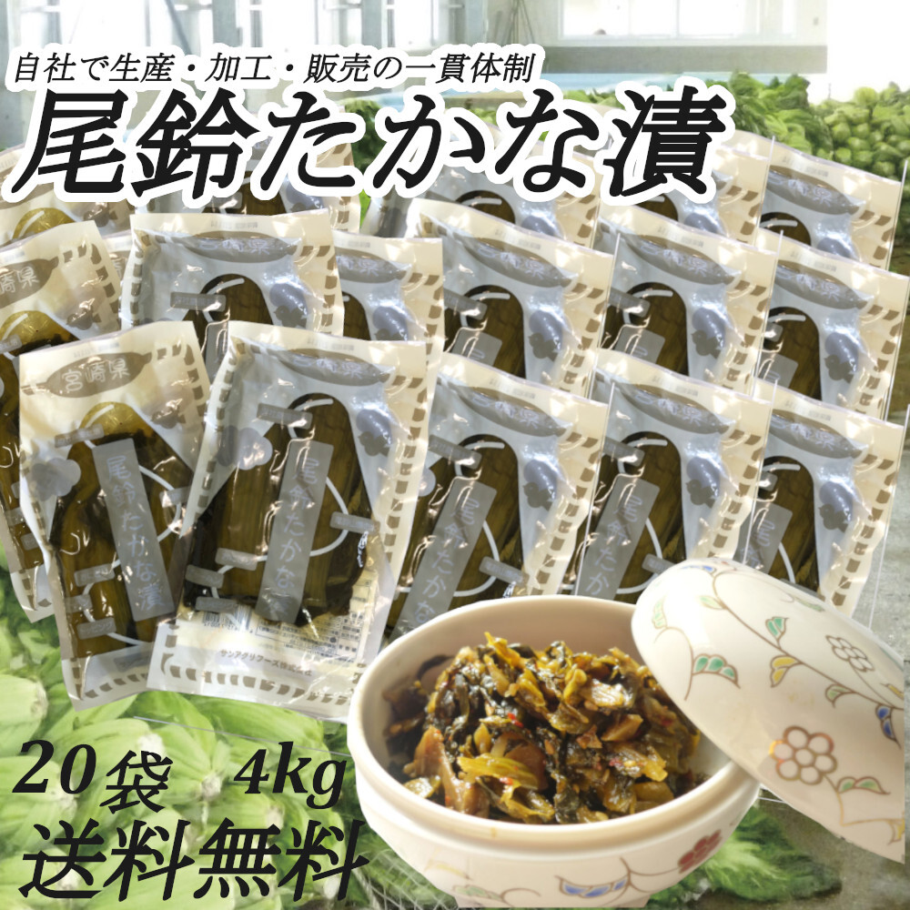  尾鈴高菜漬 200g×20袋 宮崎県 古漬け たかな漬け ご飯のお供 チャーハン おにぎり 油炒め トッピング送料無料_画像1