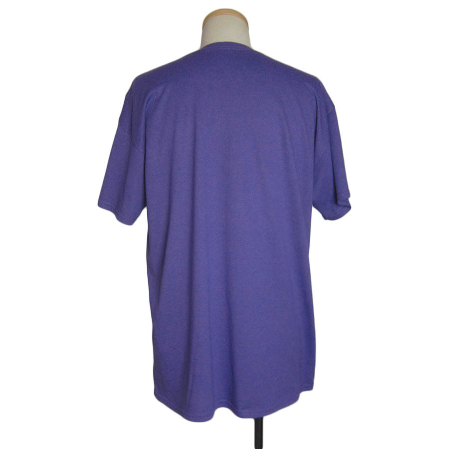 GILDAN プリントTシャツ ティーシャツ パープル 紫色系 メンズ Lサイズ SPRING FLING アメリカ輸入 古着 USED ユーズド tee tシャツ #n-137_画像2