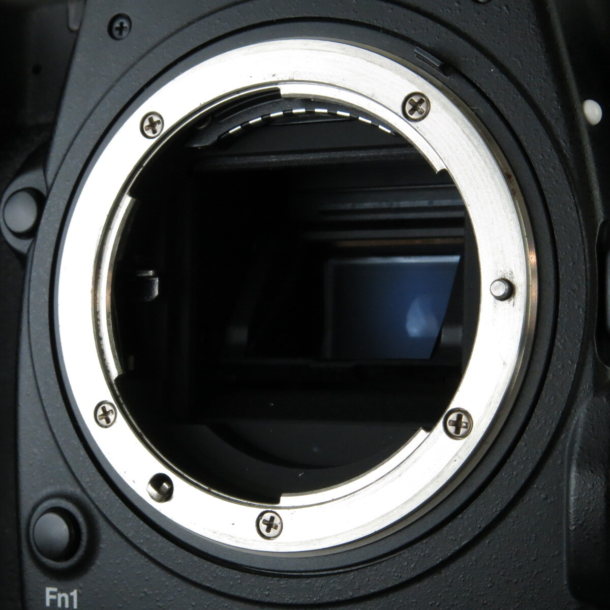 Yahoo!オークション - Nikonニコン D500 NO.8115 Yahoo!オークション - Nikonニコン D500 NO.8115