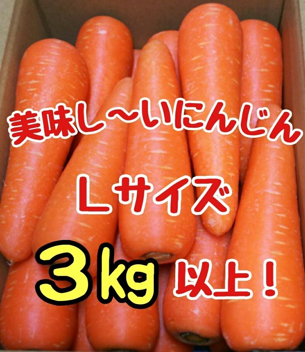  прекрасный тест .. морковь!L размер!3. и больше!