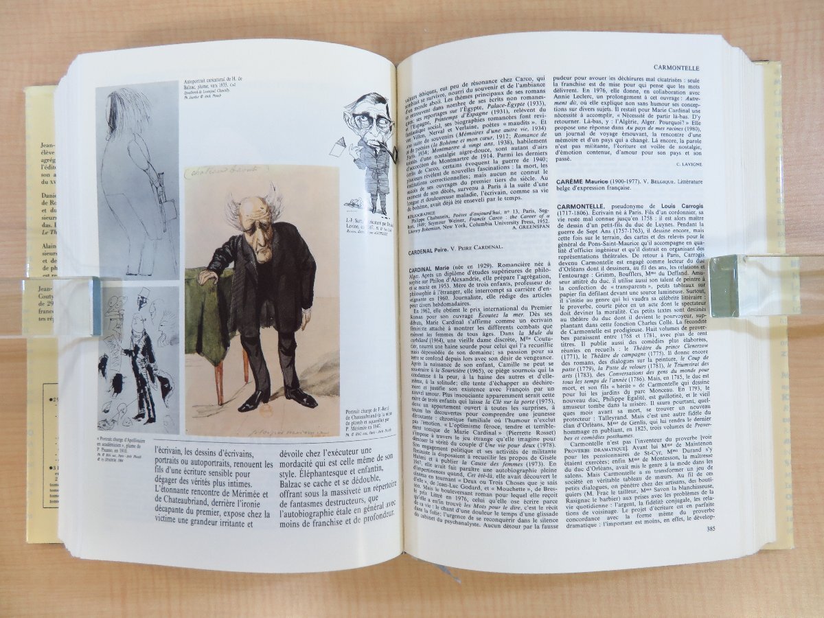 パーティを彩るご馳走や フランス語文学辞典『Dictionnaire langue de litteratures des その他