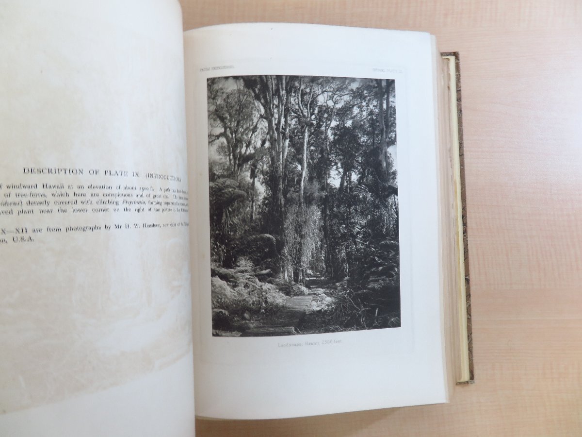 ハワイ諸島博物学図譜『Fauna Hawaiiensis』(全3冊揃)1913年 ハワイ諸島博物学図譜『Fauna Hawaiiensis』(全3冊揃)1913年