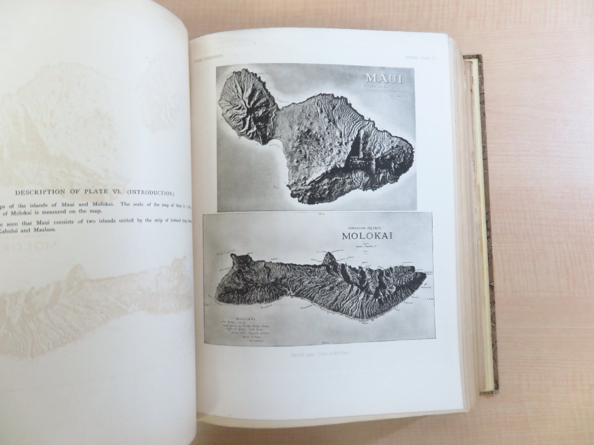 ハワイ諸島博物学図譜『Fauna Hawaiiensis』(全3冊揃)1913年 ハワイ諸島博物学図譜『Fauna Hawaiiensis』(全3冊揃)1913年