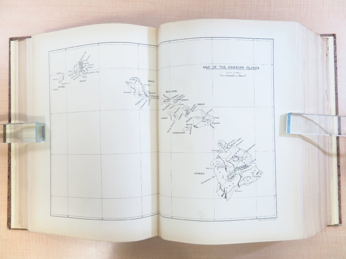 ハワイ諸島博物学図譜『Fauna Hawaiiensis』(全3冊揃)1913年 ハワイ諸島博物学図譜『Fauna Hawaiiensis』(全3冊揃)1913年