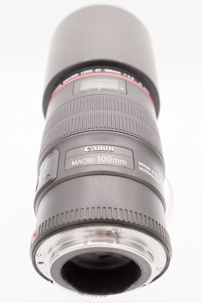 【極上品 & 動作確認済】Canon キャノン EF100mm F2.8Lマクロ IS USM_画像3