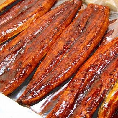  eel * charge .. taste * Bick ..... .. small amount . sale!tare. zanthoxylum fruit attaching {1800 jpy / tail ( approximately 400g)}... length .. largish. ... eel. ...!